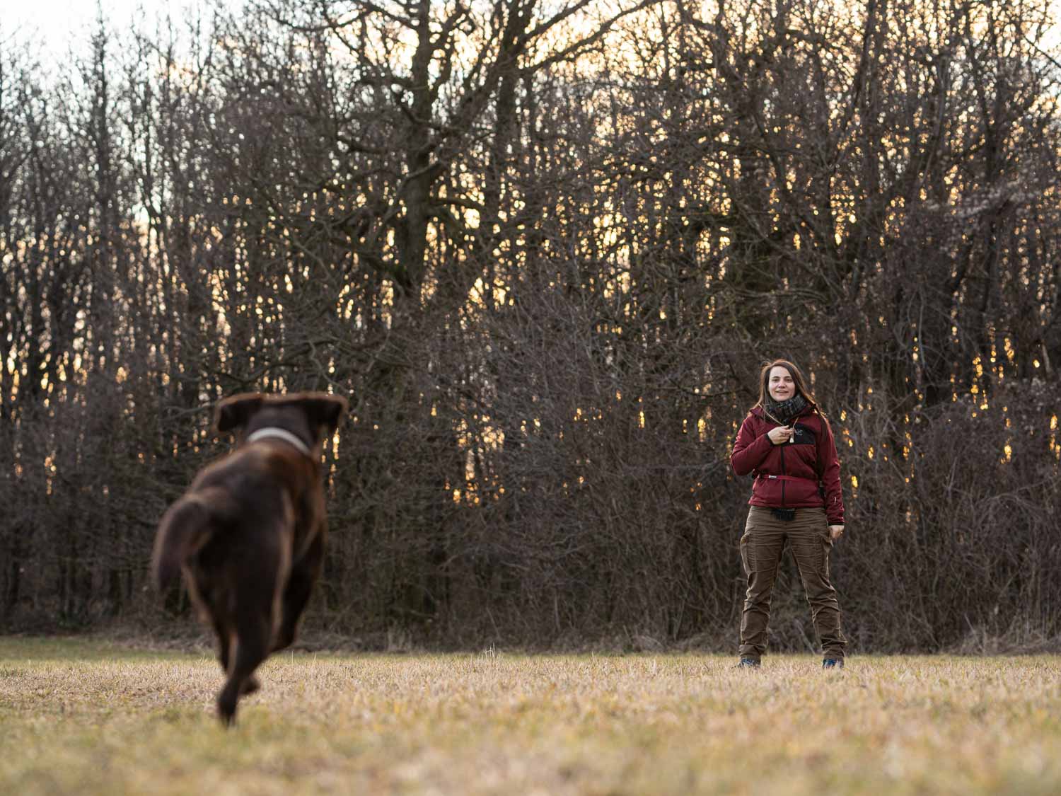 Beim doppelten Rückruf hat dein Hund, wie der Name sagt, zwei Signale um zurückgerufen zu werden. Das erste Kommando ist ein Umorientierungssignal oder Ankersignal und das Zweite das Rückrufsignal. Dieses Bild zeigt einen freilaufenden Hund.