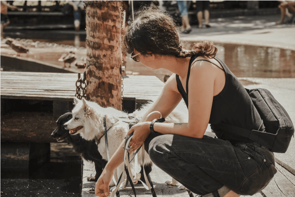 Impulskontrolle für den Hund - Was ist das? – Pawsome Hundeblog