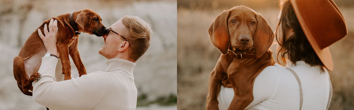 Welpenhalsband und Welpenleine, mitwachsend und leicht – Pawsome Hundezubehör