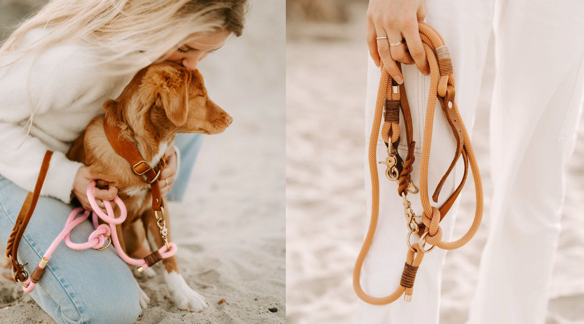 Hundeleinen aus Fettleder, Kletterseil und Biothane – handgefertigt von Pawsome Hundezubehör