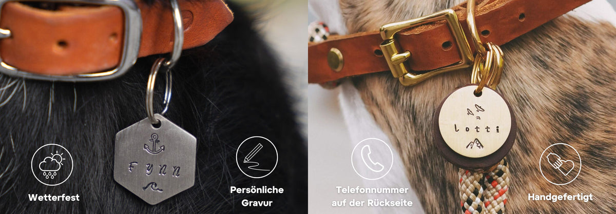 Hundemarken mit Gravur aus Messing und Edelstahl – Pawsome Hundezubehör aus Wien