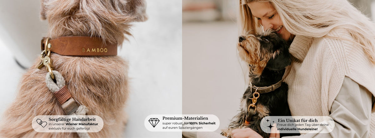Halsband-Leine-Sets aus Leder, Tau und Biothane – Pawsome Hundezubehör aus Wien