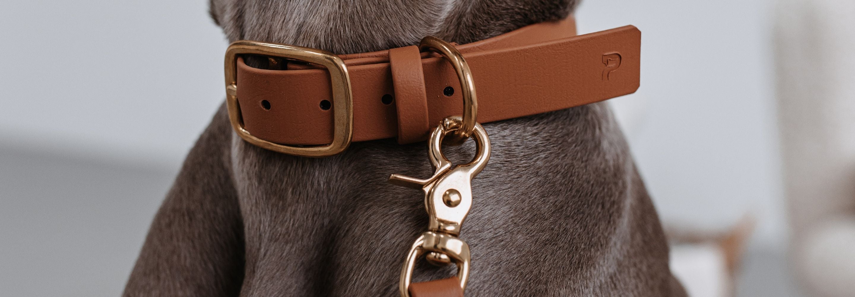 Biothane-Halsbänder