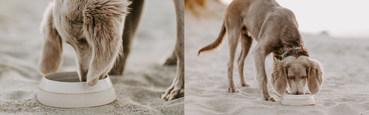 Hundenäpfe aus Keramik mit Eichenholz-Sockel – Pawsome Hundezubehör
