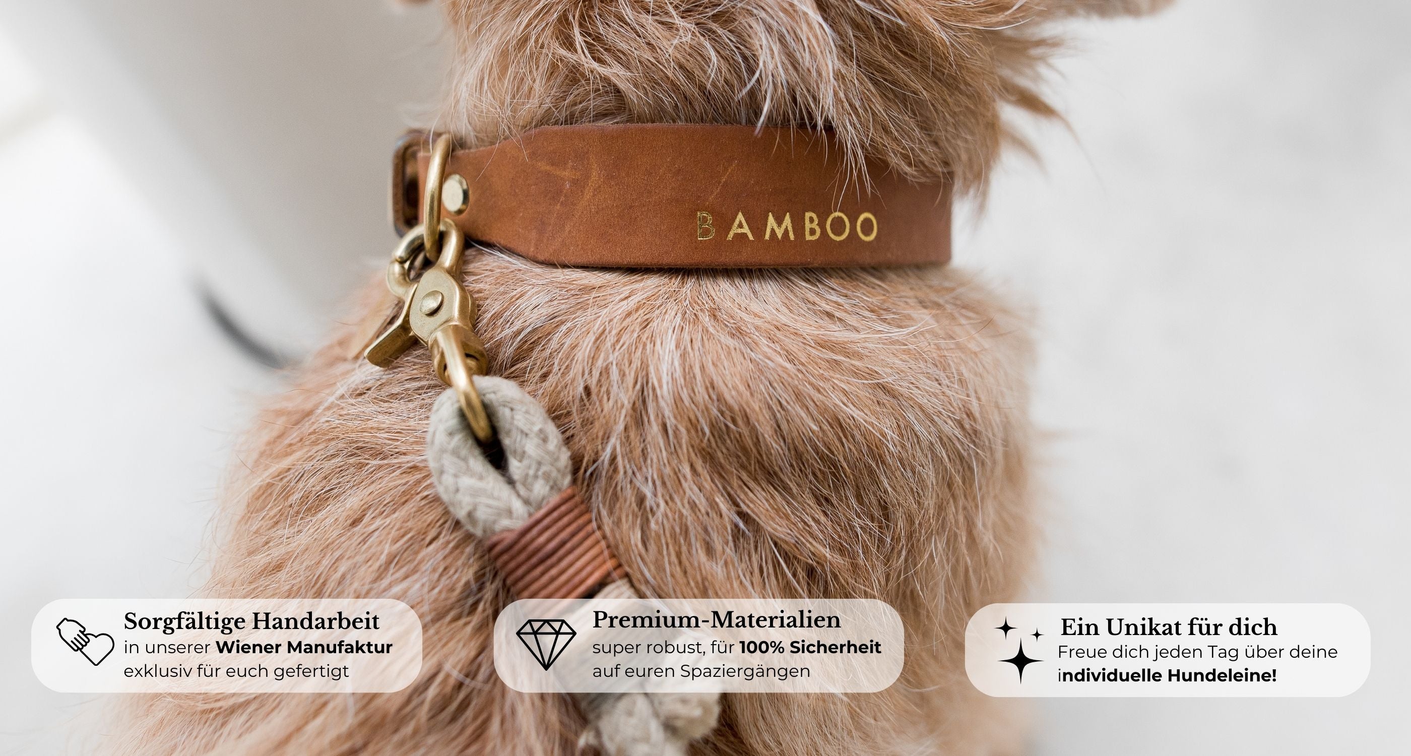 Entdecke unsere Bestseller