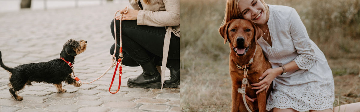 Hundezubehör aus Kletterseil: Tauhalsbänder und Tauleinen – Pawsome Hundezubehör