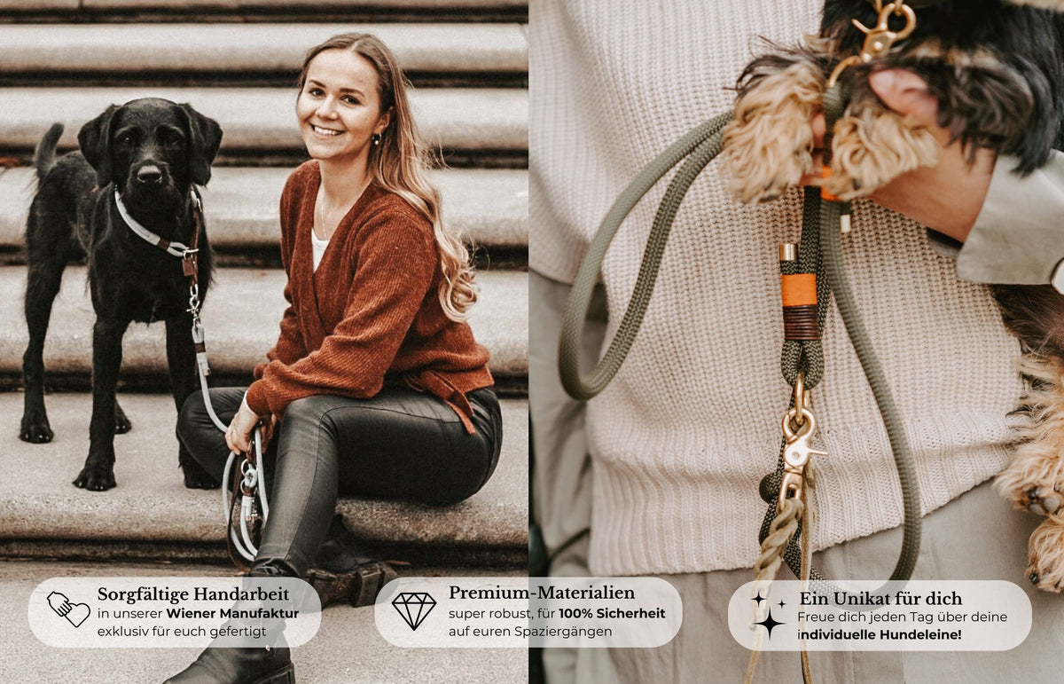 Design your own: Kletterseile und Lederfarben zur Auswahl – Pawsome Hundezubehör aus Wien