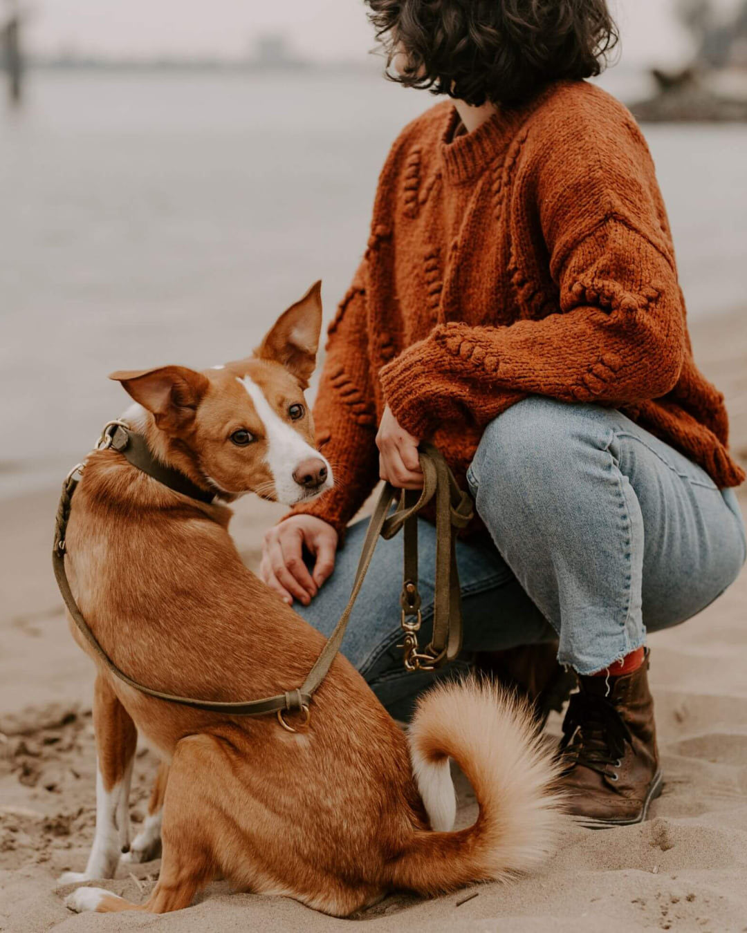 Hund am Strand mit der Hundeleine Bjarki in Olive