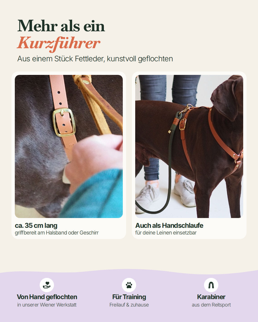 Kurzführer und Hausleine aus Fettleder: ca. 35 cm lang, auch als Handschlaufe einsetzbar