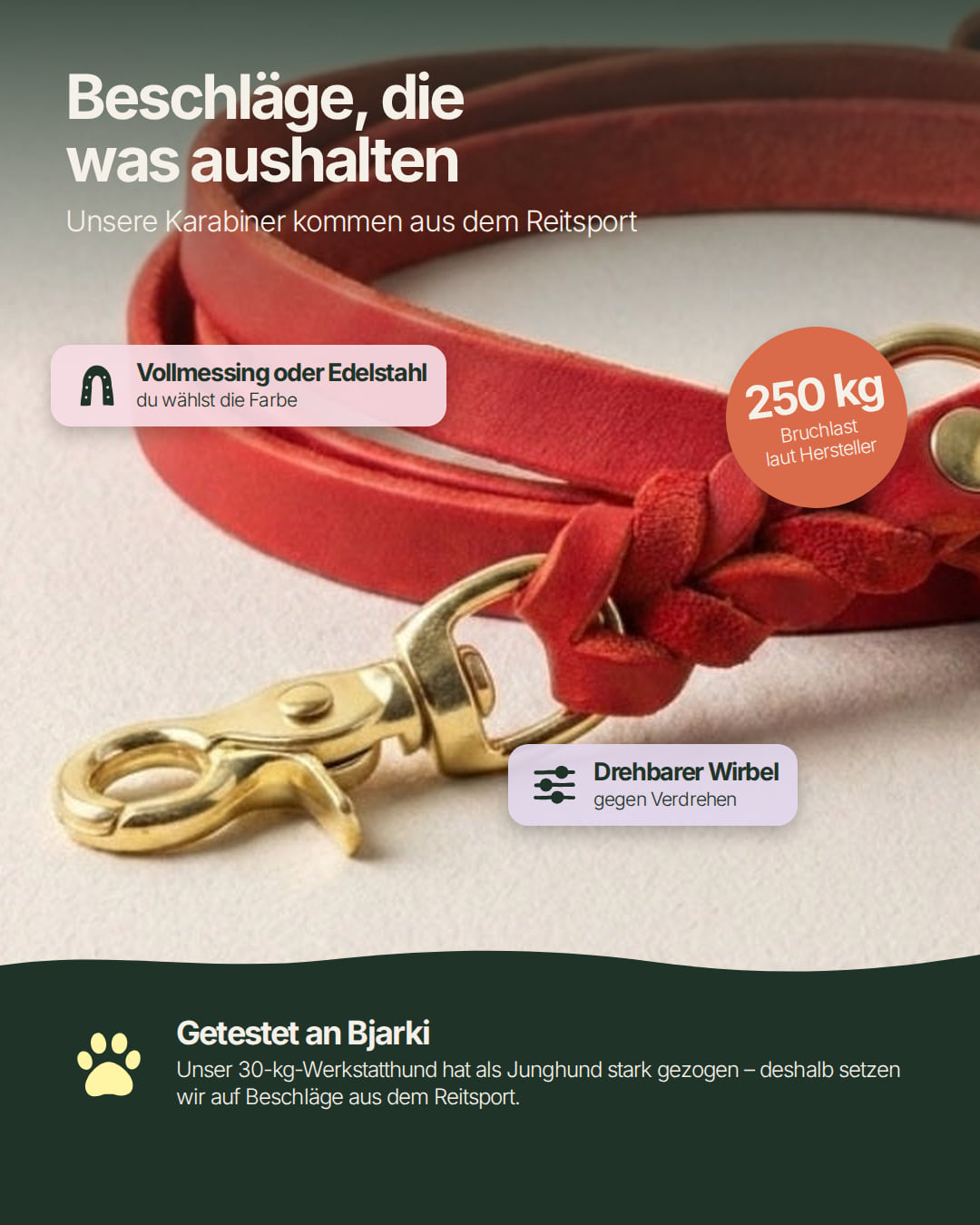 Karabiner der Hundeleine Bjarki in Chili aus dem Reitsport mit drehbarem Wirbel, 250 kg Bruchlast laut Hersteller