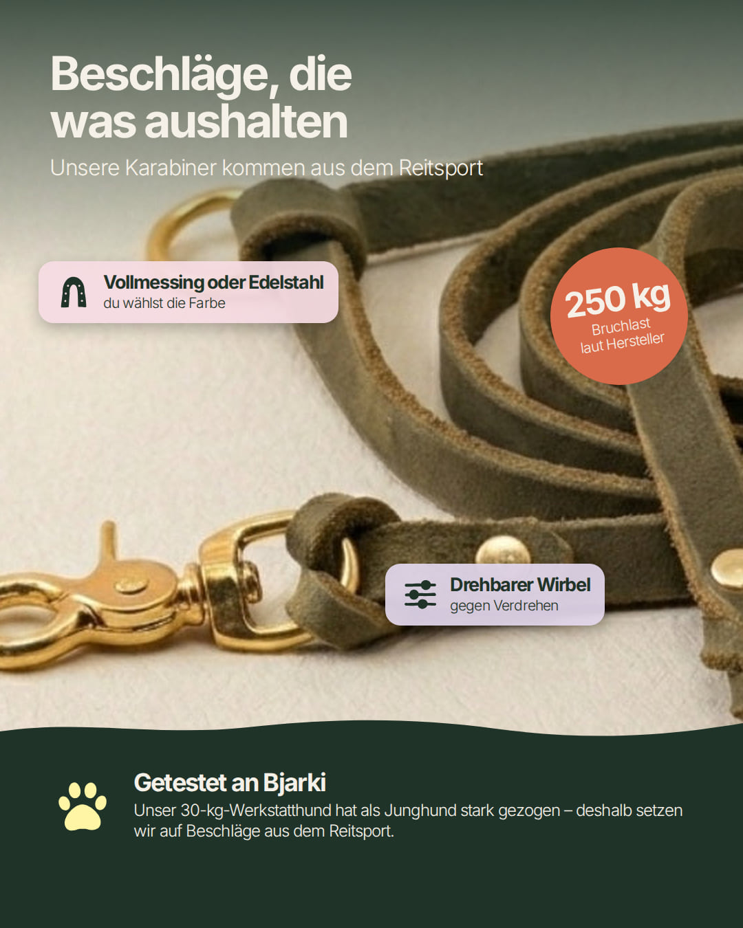 Karabiner der Hundeleine Bjarki in Olive aus dem Reitsport mit drehbarem Wirbel, 250 kg Bruchlast laut Hersteller