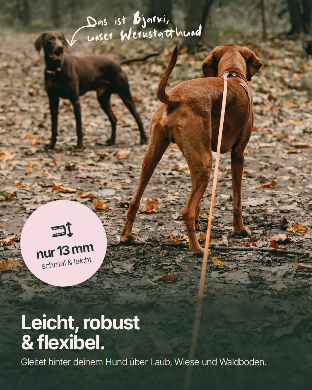 Waterproof towing line made from Biothane