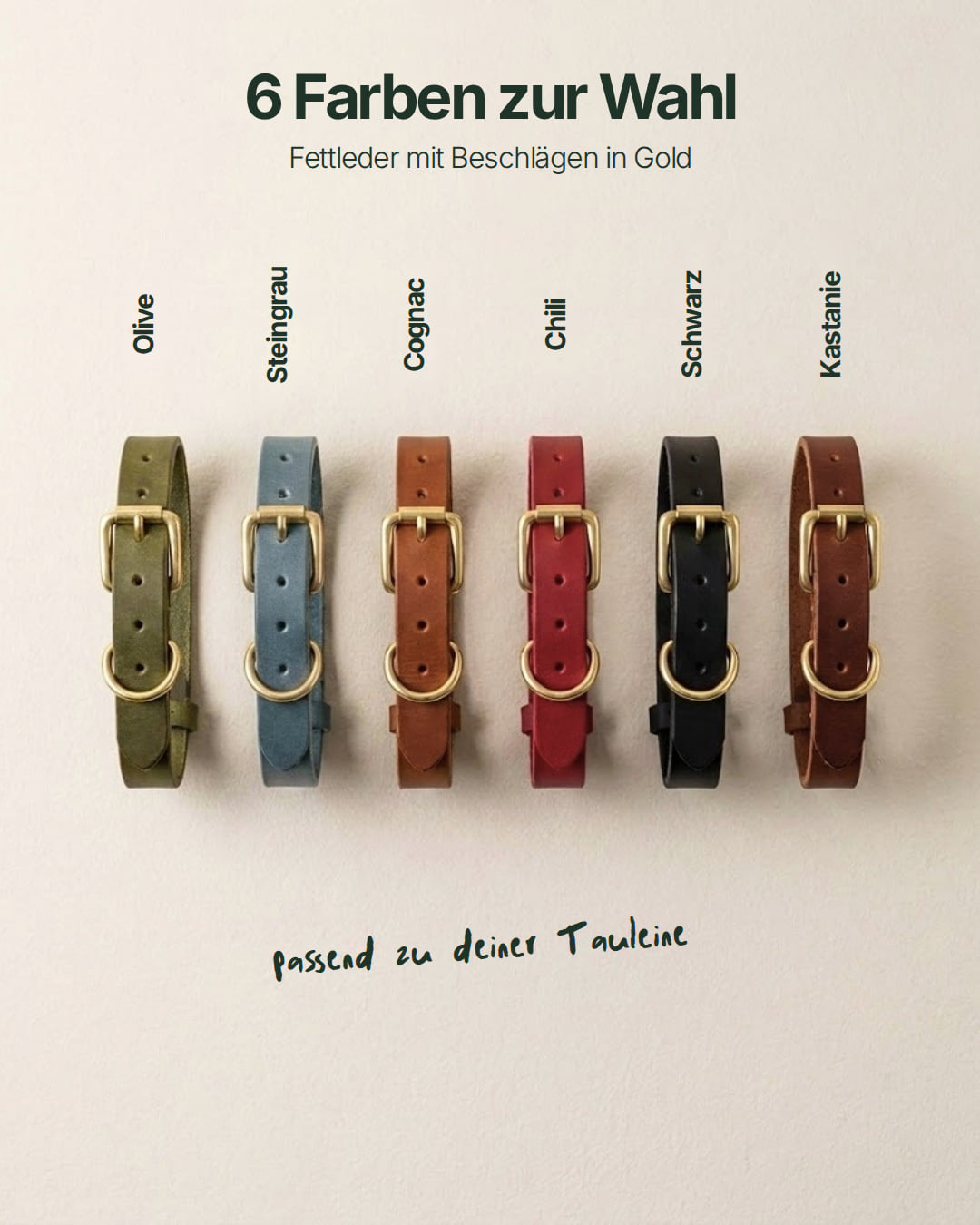 Puppy Special: Set | Puppy collar & rope leash including 25% voucher
