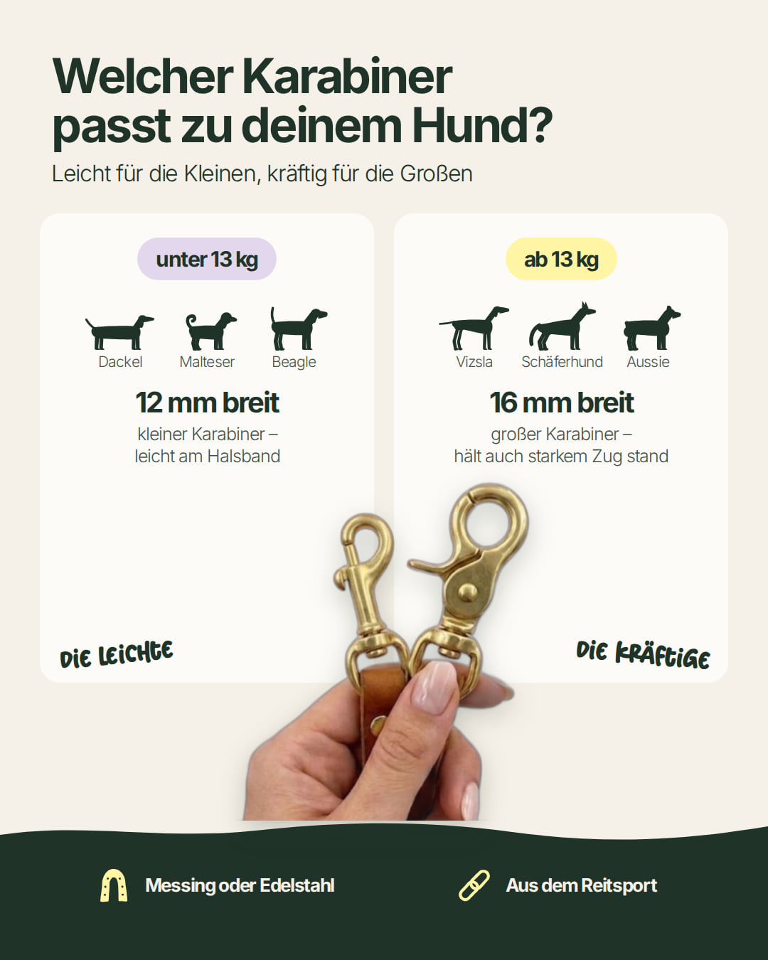 Karabinergröße der Hundeleine Bjarki: 12 mm für Hunde unter 13 kg, 16 mm ab 13 kg