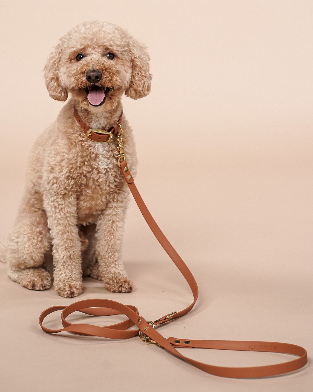 Biothane® collar 'Light brown'