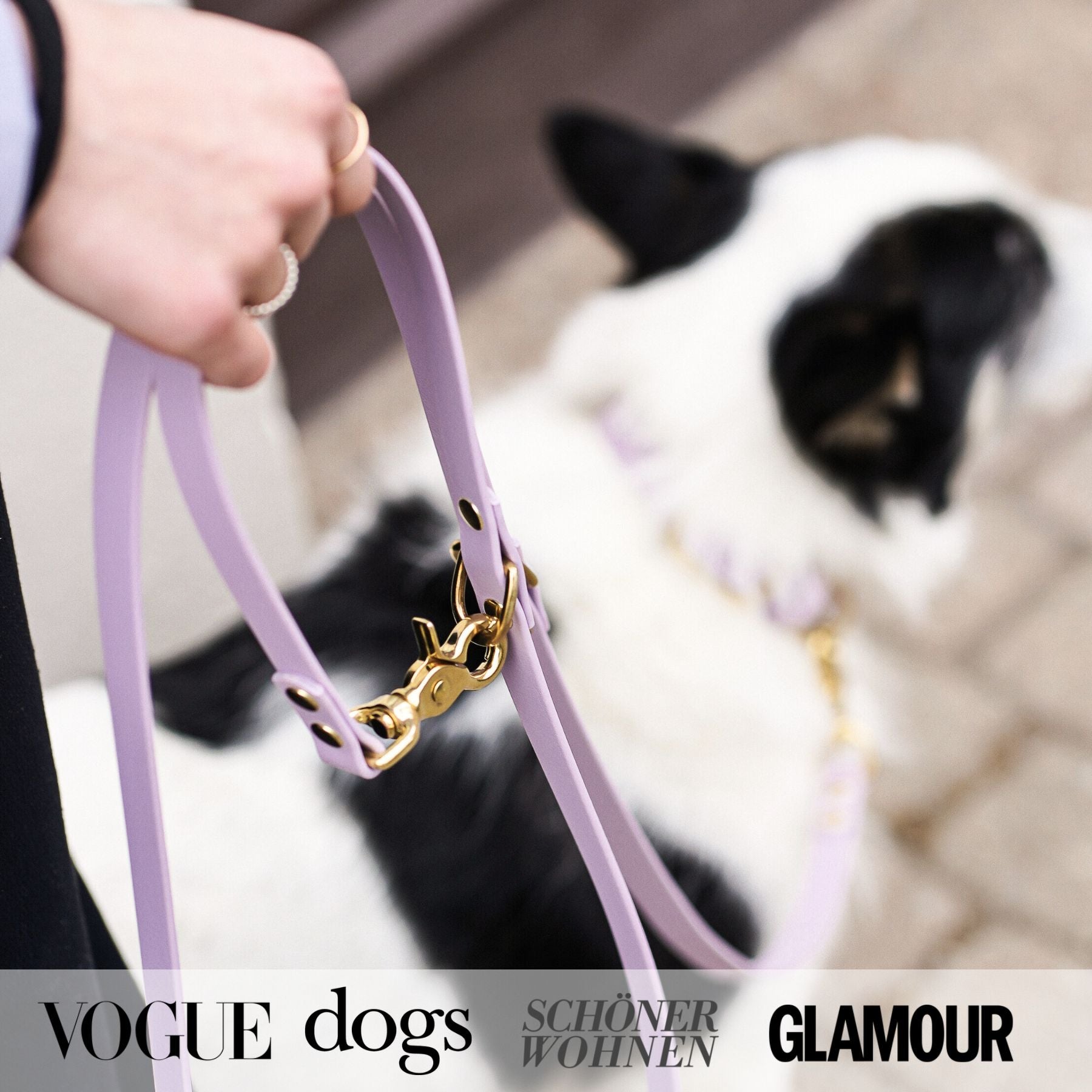 Set | Collar & leash made of Biothane® 'Dusty Blue'