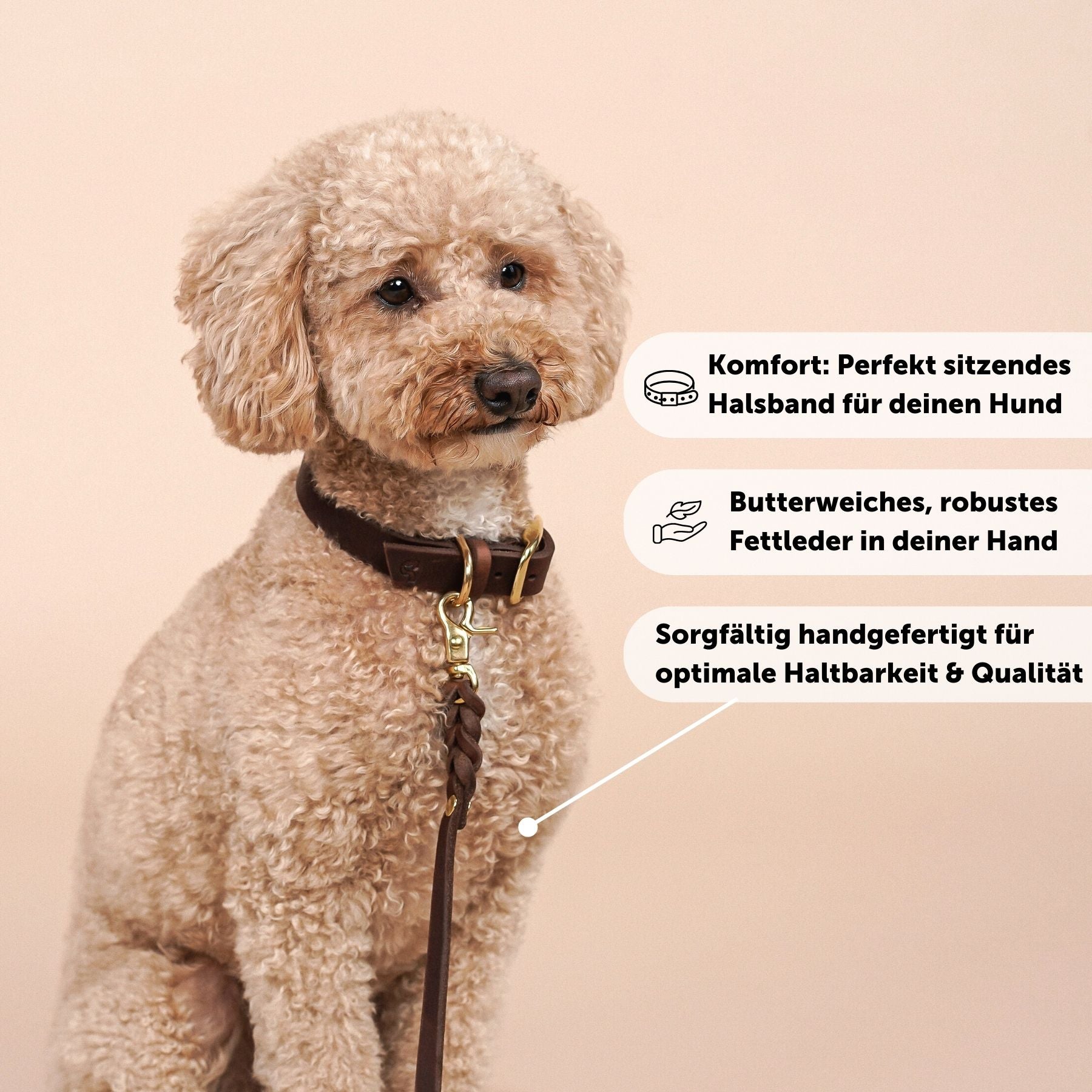 Personalizable collar with name | chestnut