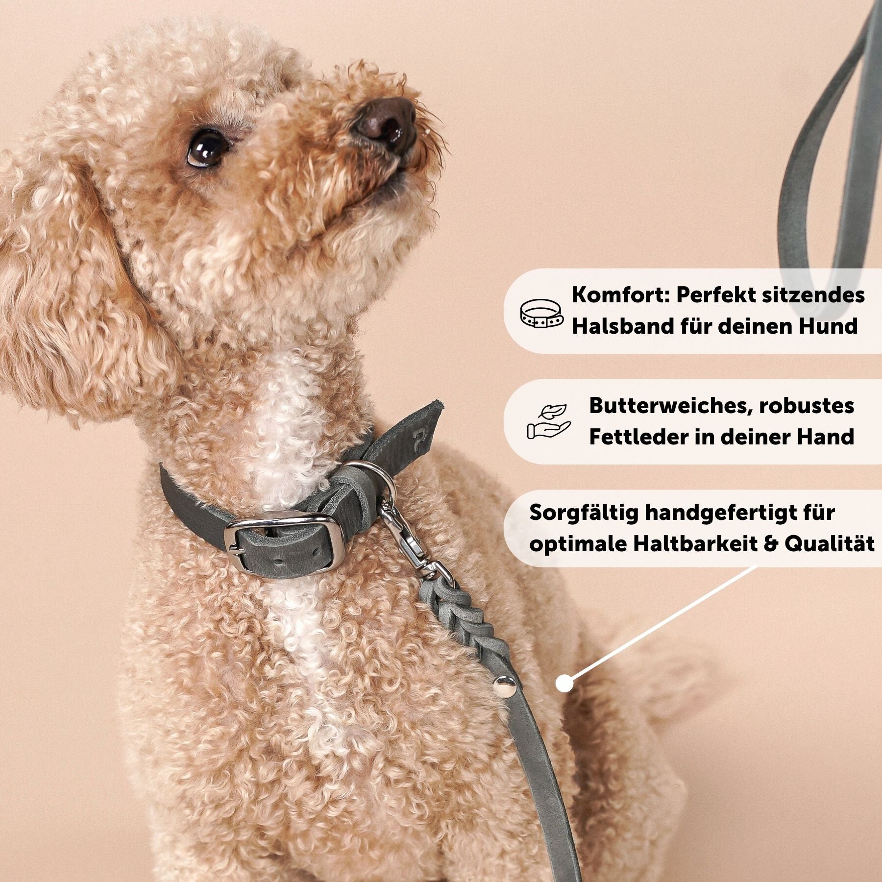 Set | Leather collar & leash in stone gray