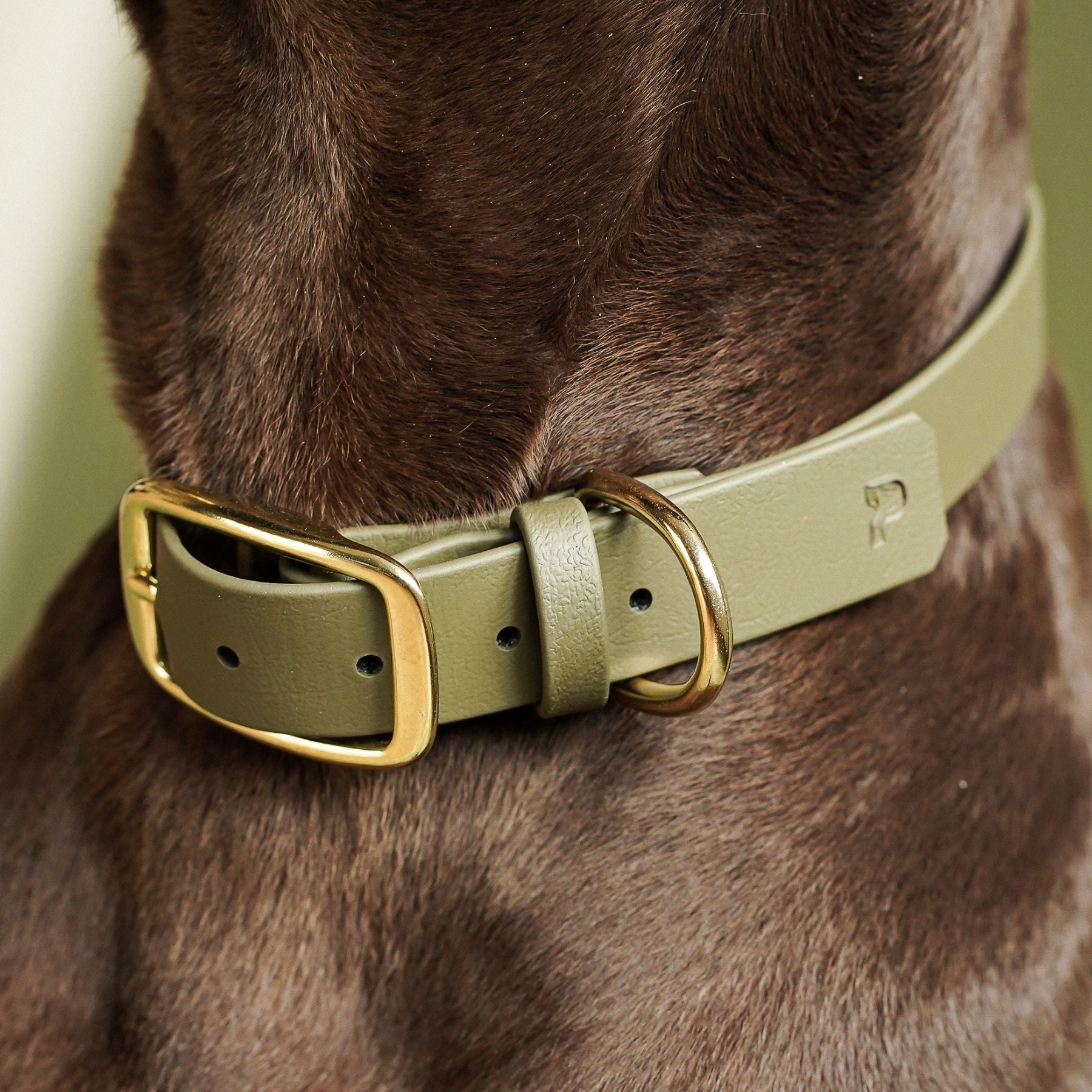Biothane® collar 'Khaki'