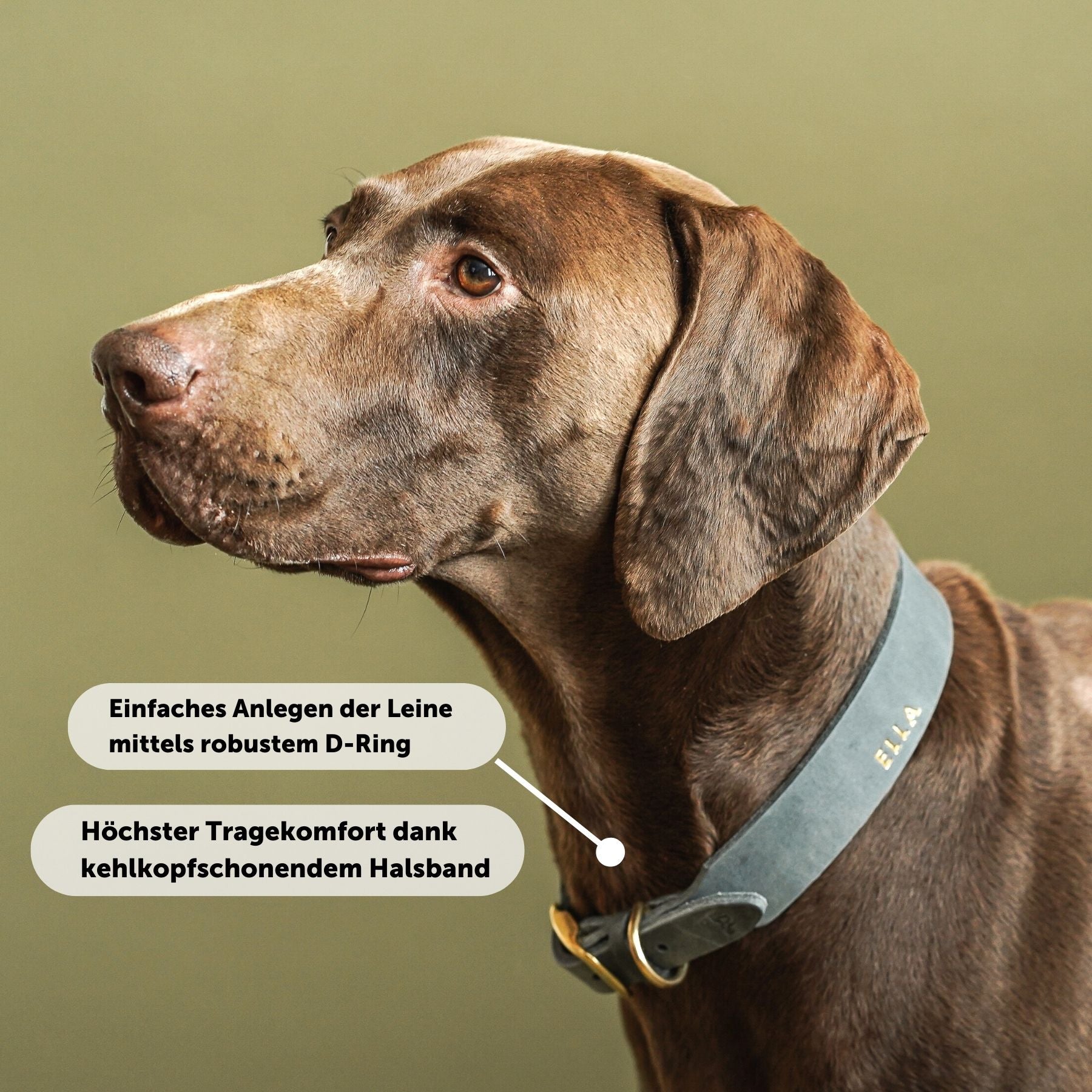Personalizable collar with name | Stone gray