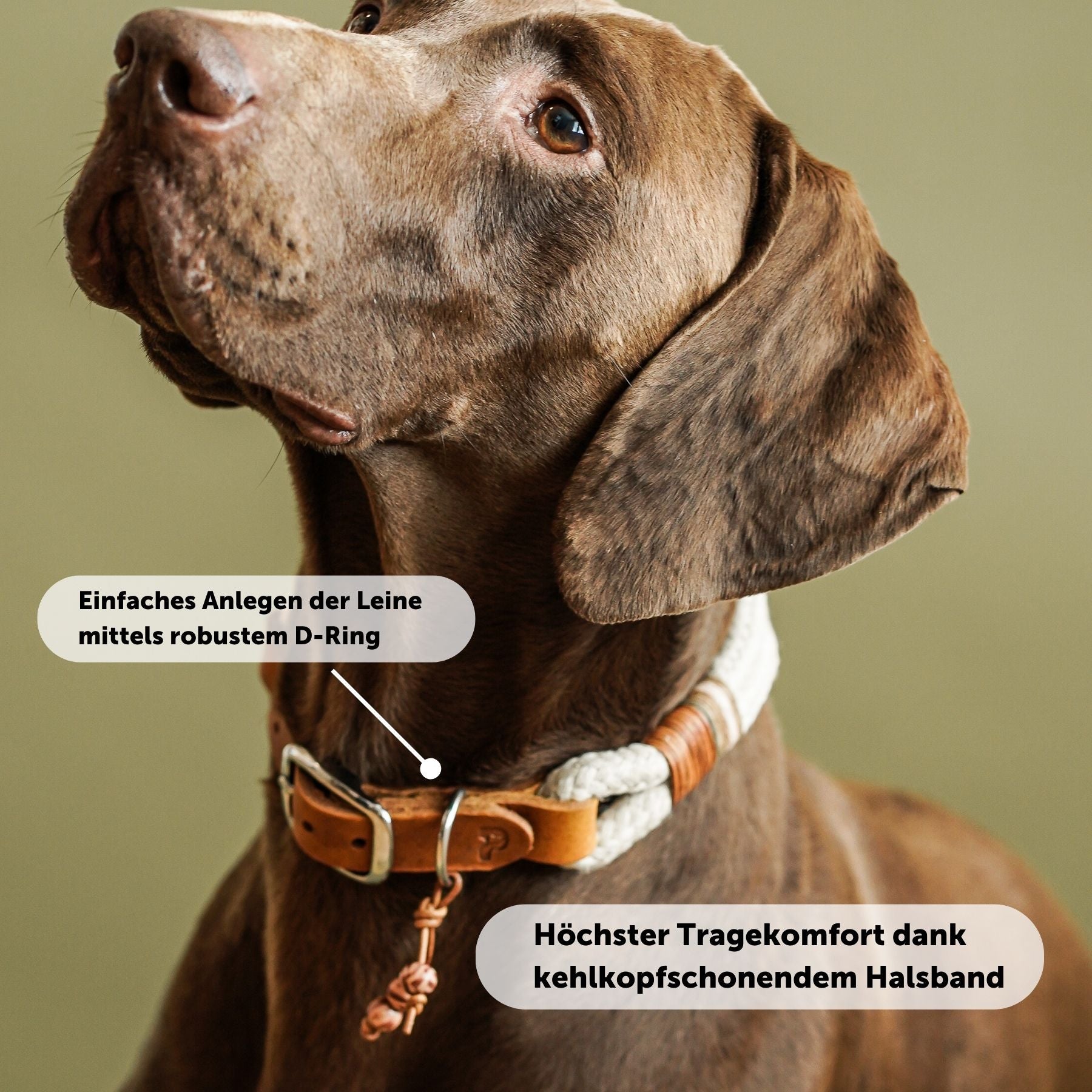 Dew collar 'Earthy'