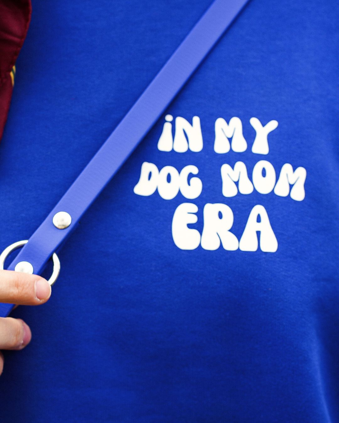 Dog leash made of Biothane® 'Dusty Blue'