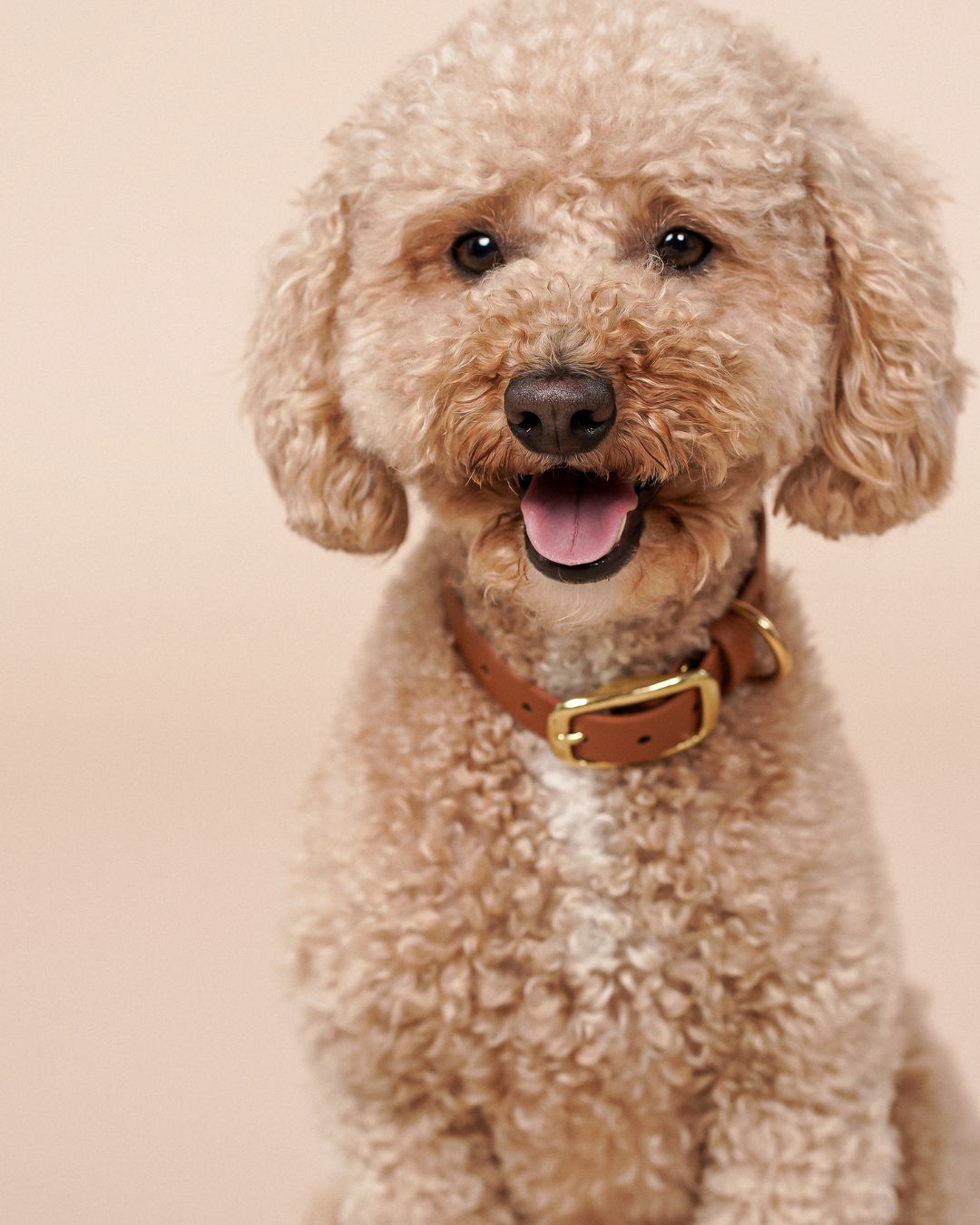 Biothane® collar 'Light brown'