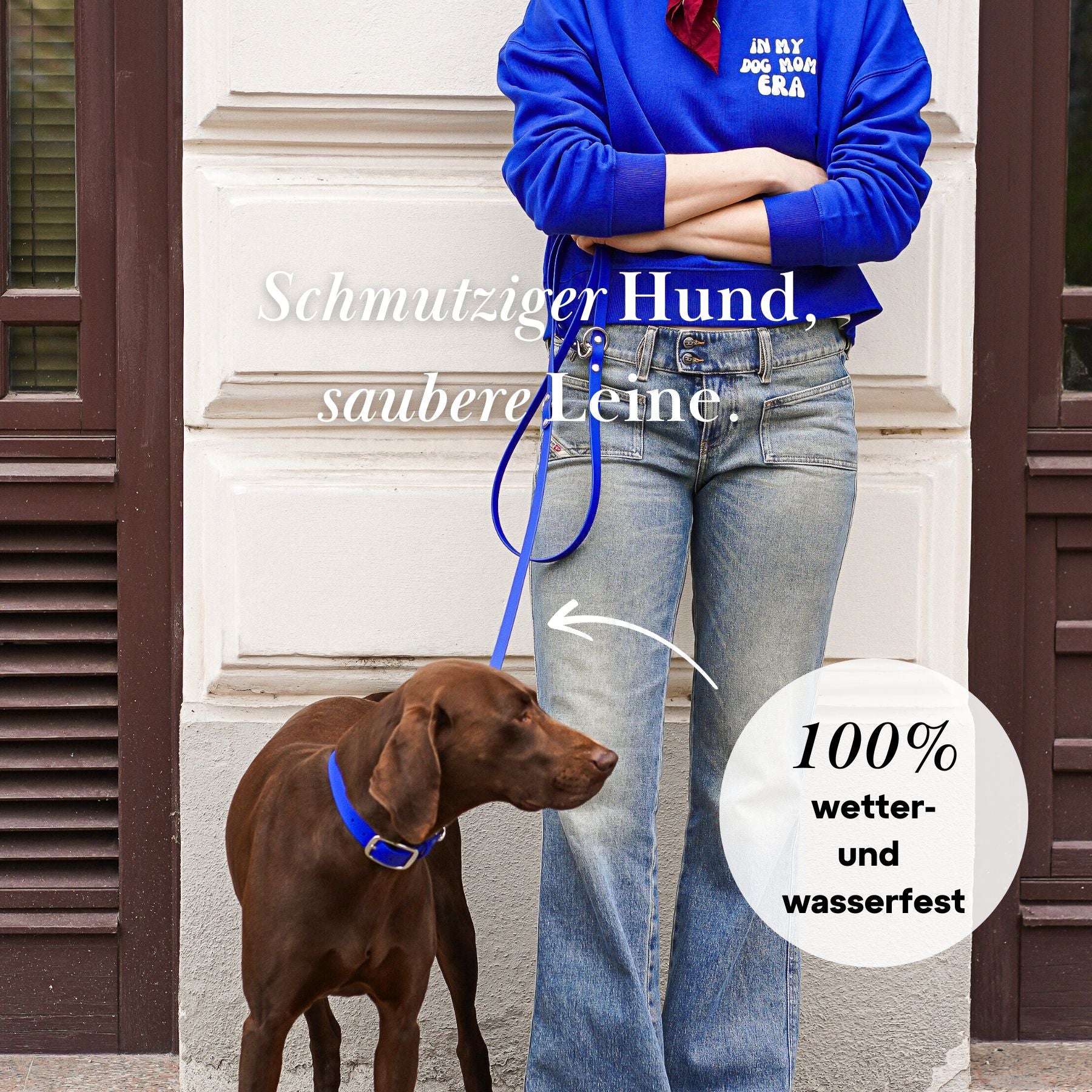 Dog leash made of Biothane® 'Dusty Blue'