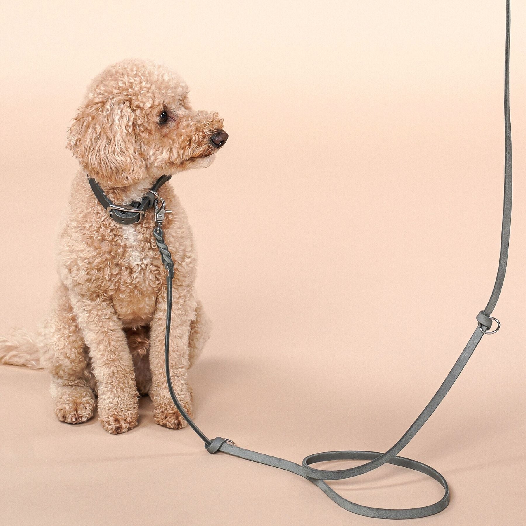 Set | Leather collar & leash in stone gray
