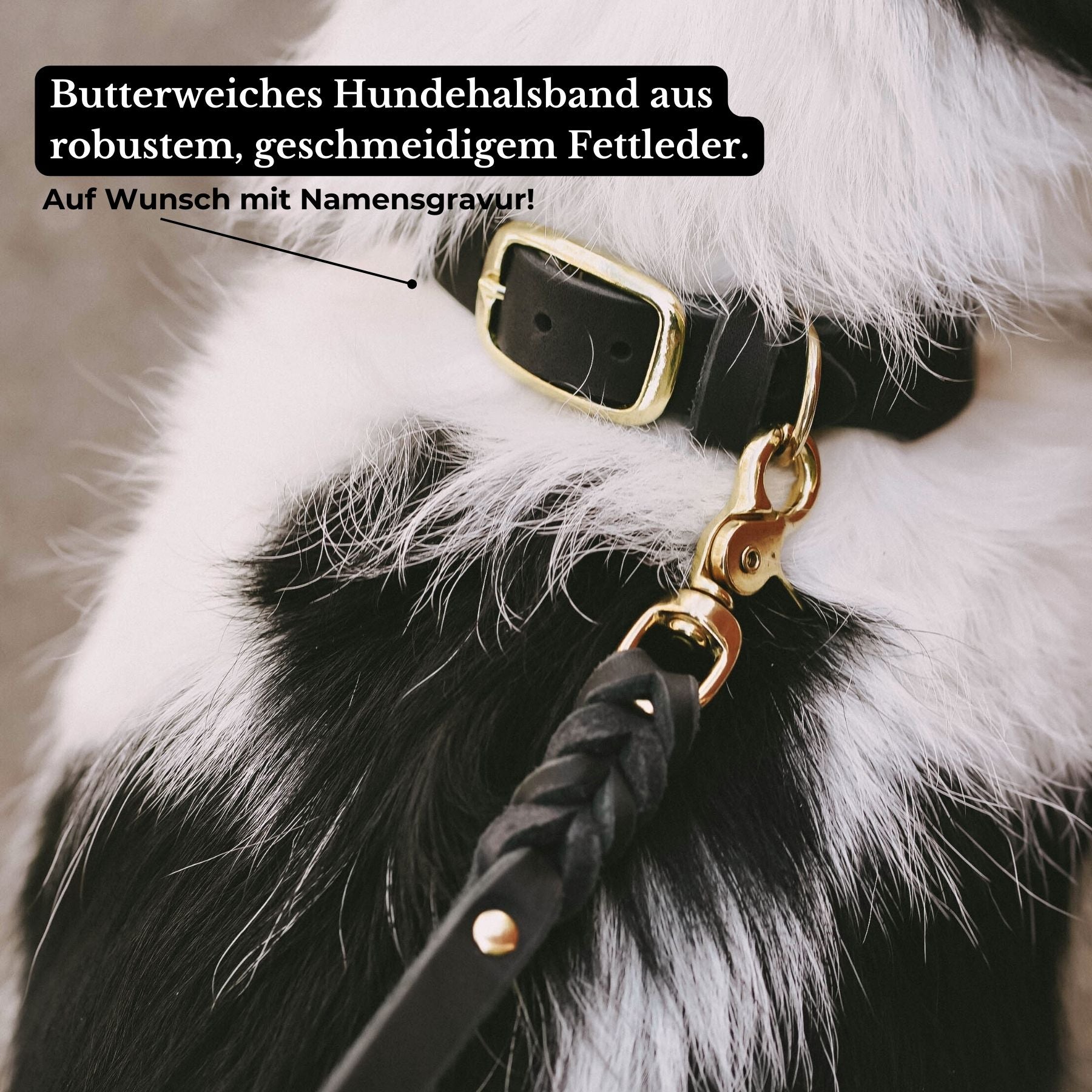 Personalisierbares Lederhalsband mit Name | Schwarz