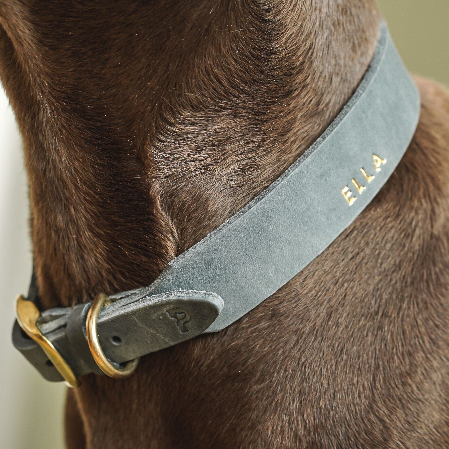 Set | Leather collar & leash in stone gray