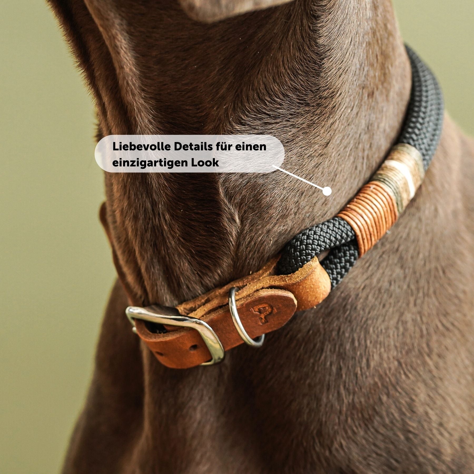 Dew collar 'Berlin'