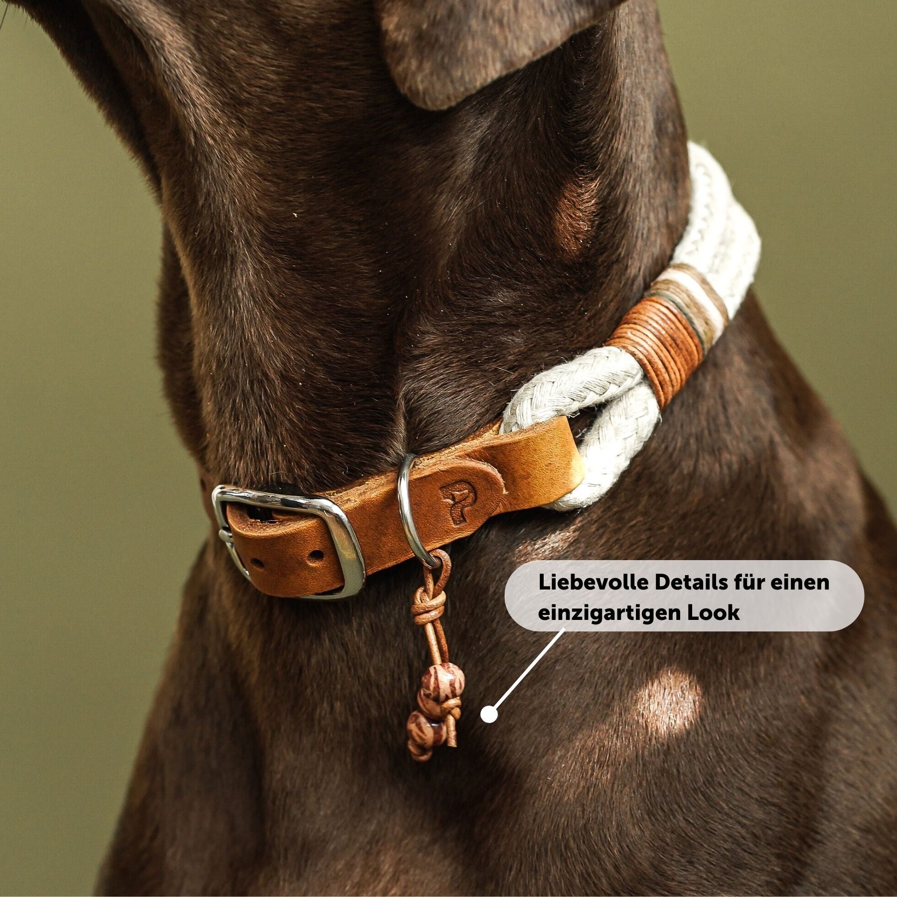 Dew collar 'Earthy'