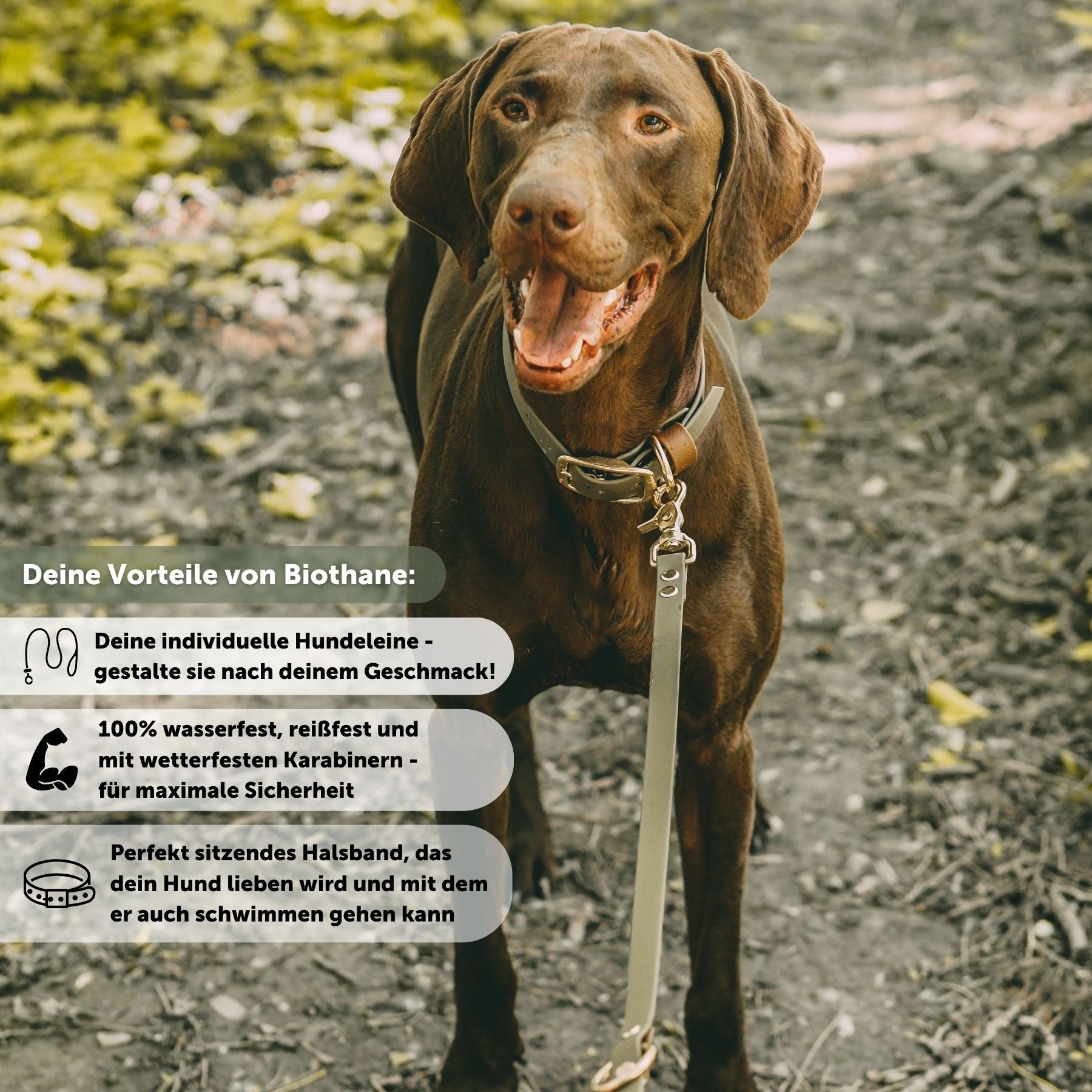 Set | Collar & leash made of Biothane® 'Khaki'