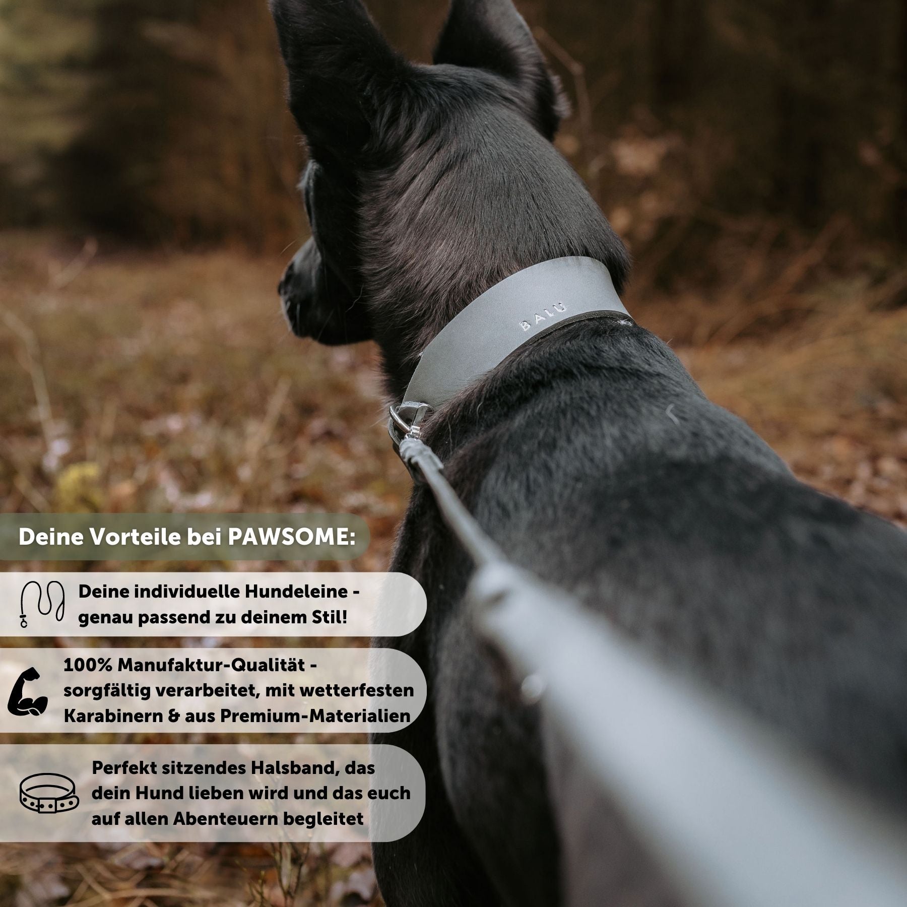 Set | Leather collar & leash in stone gray