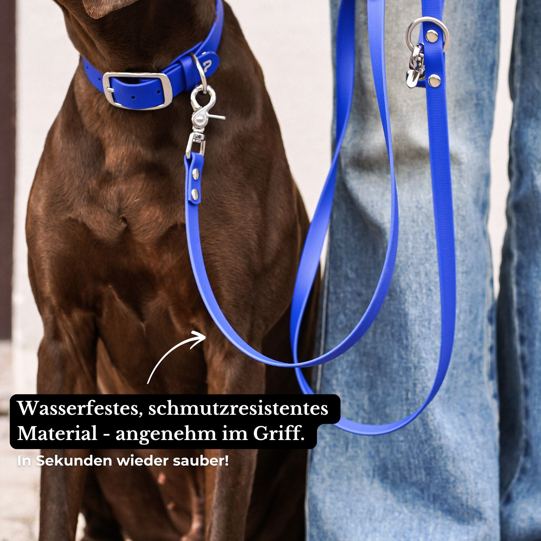 Dog leash made of Biothane® 'Dusty Blue'