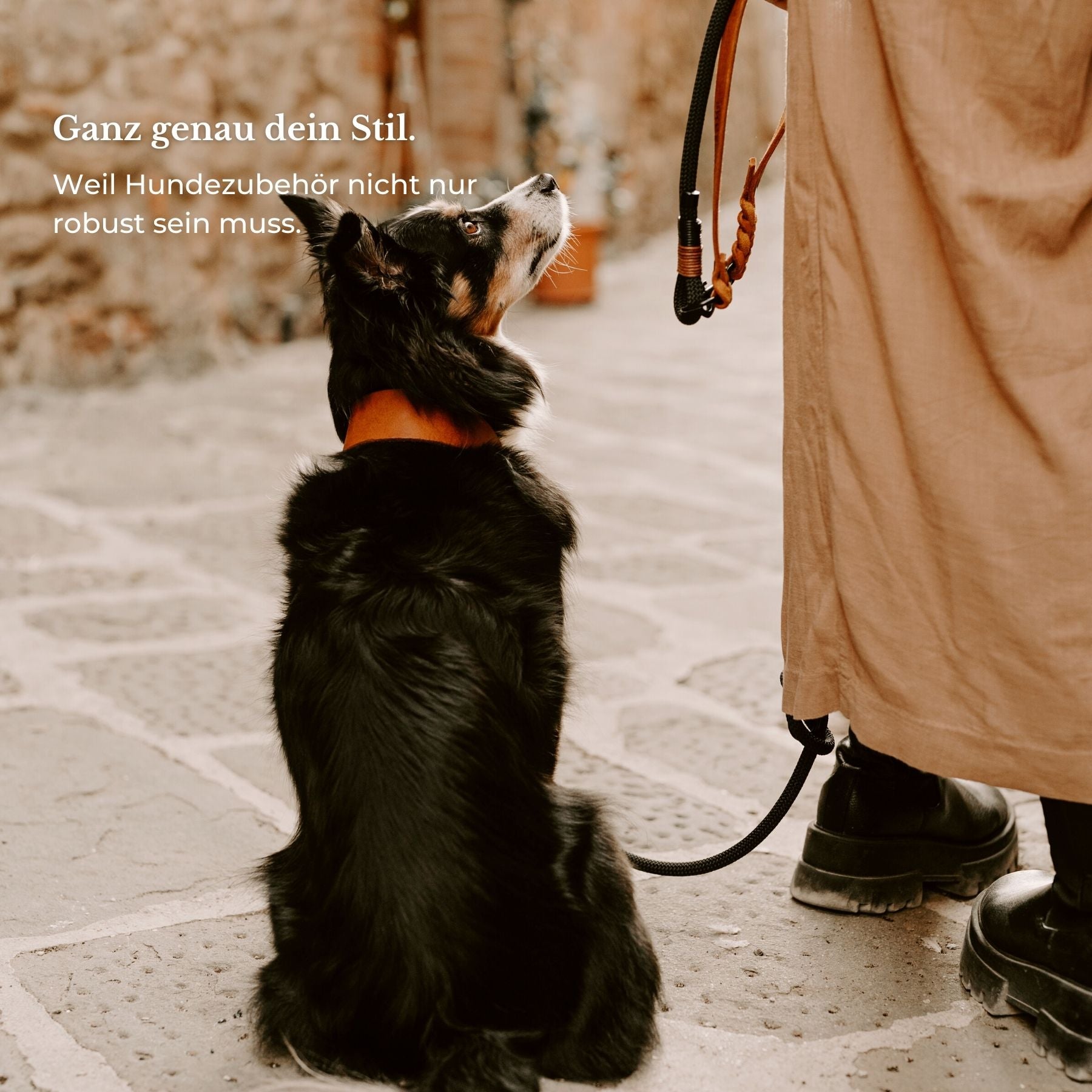 Set | Collar & leash 'Berlin'