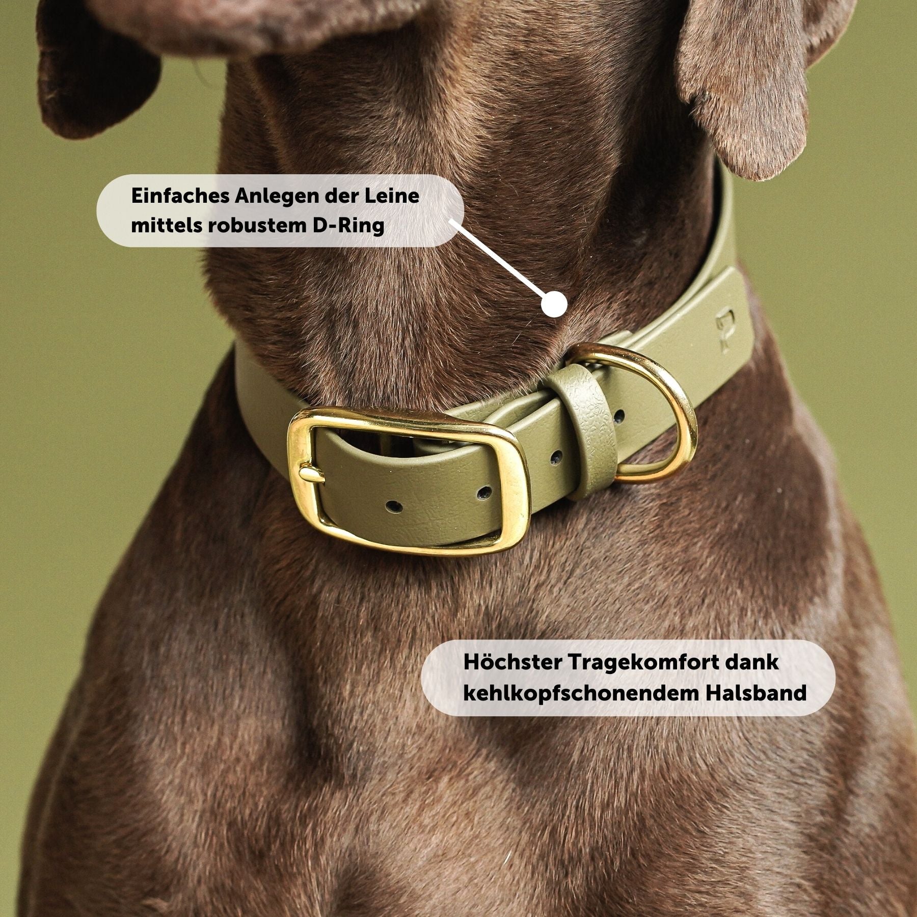 Set | Collar & leash made of Biothane® 'Khaki'