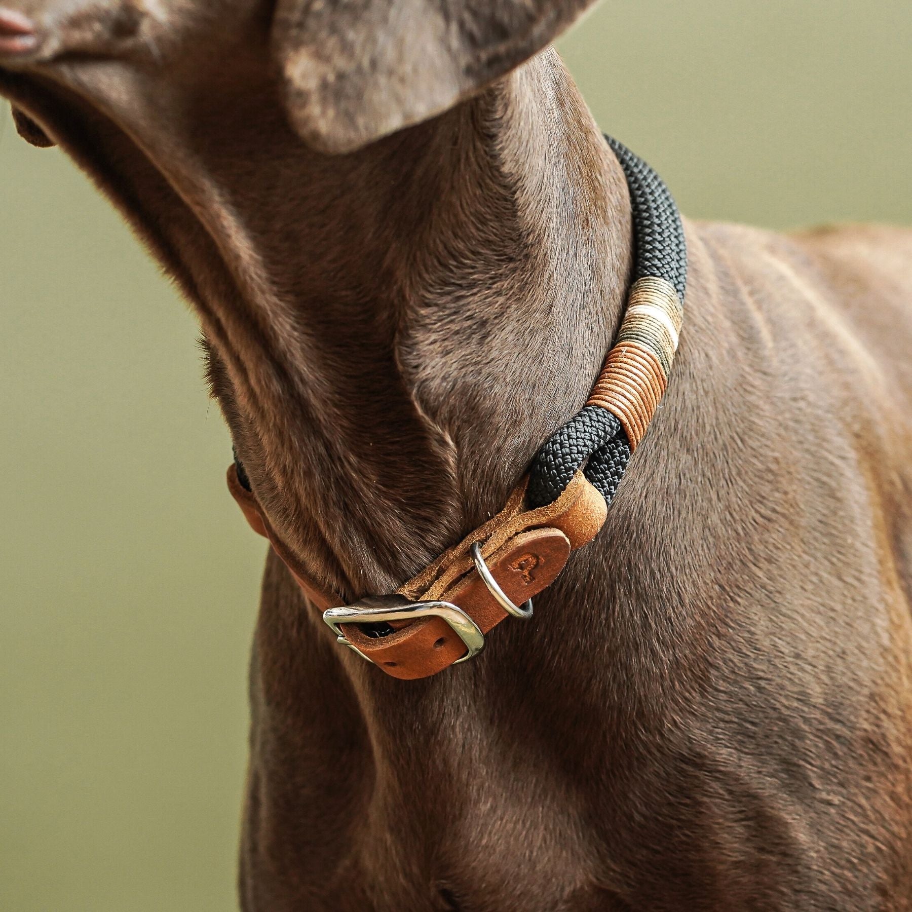 Dew collar 'Berlin'