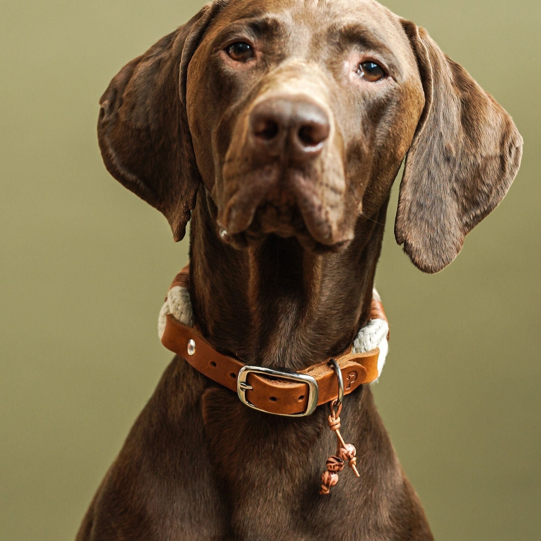 Dew collar 'Earthy'