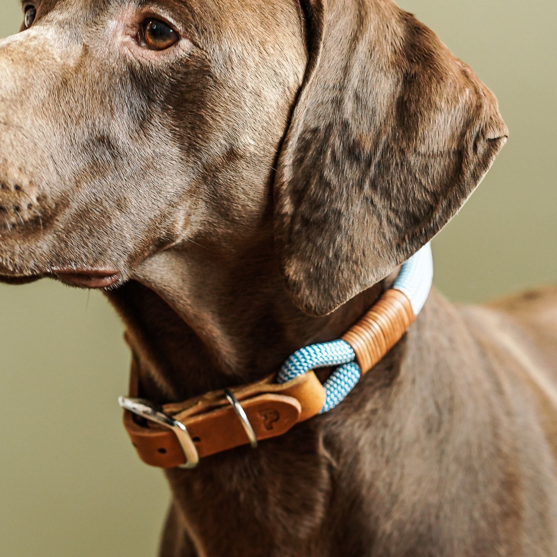 Rope collar 'Pacific'