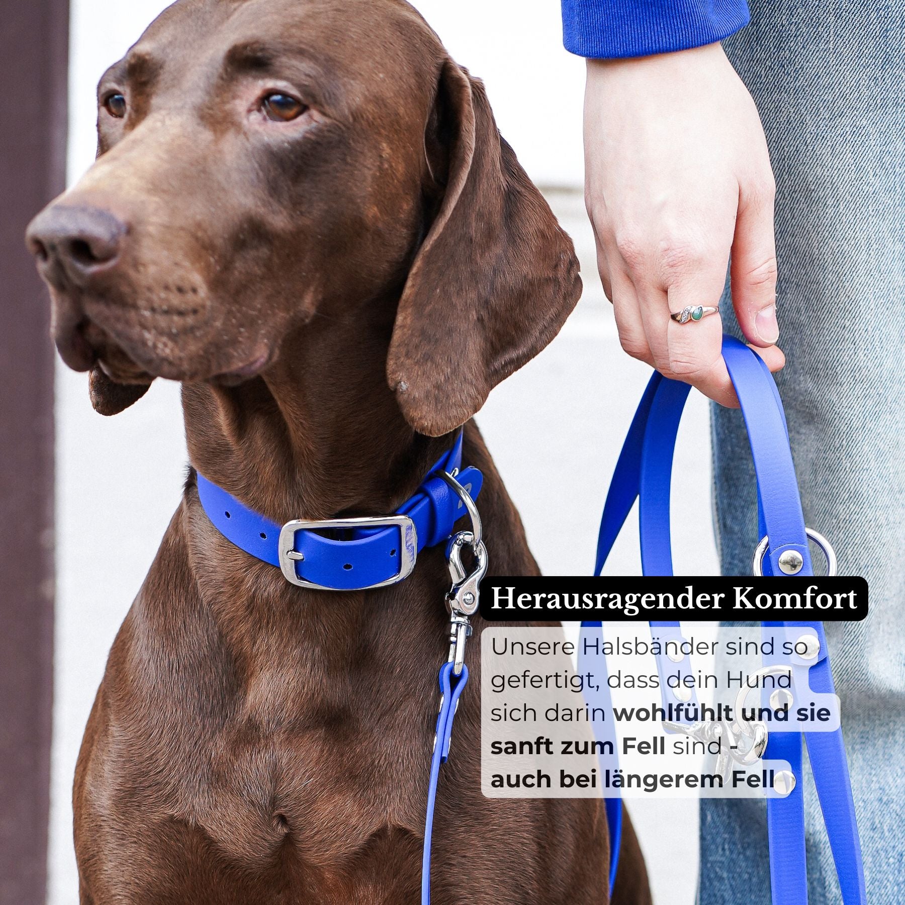 Biothane® collar 'Light brown'