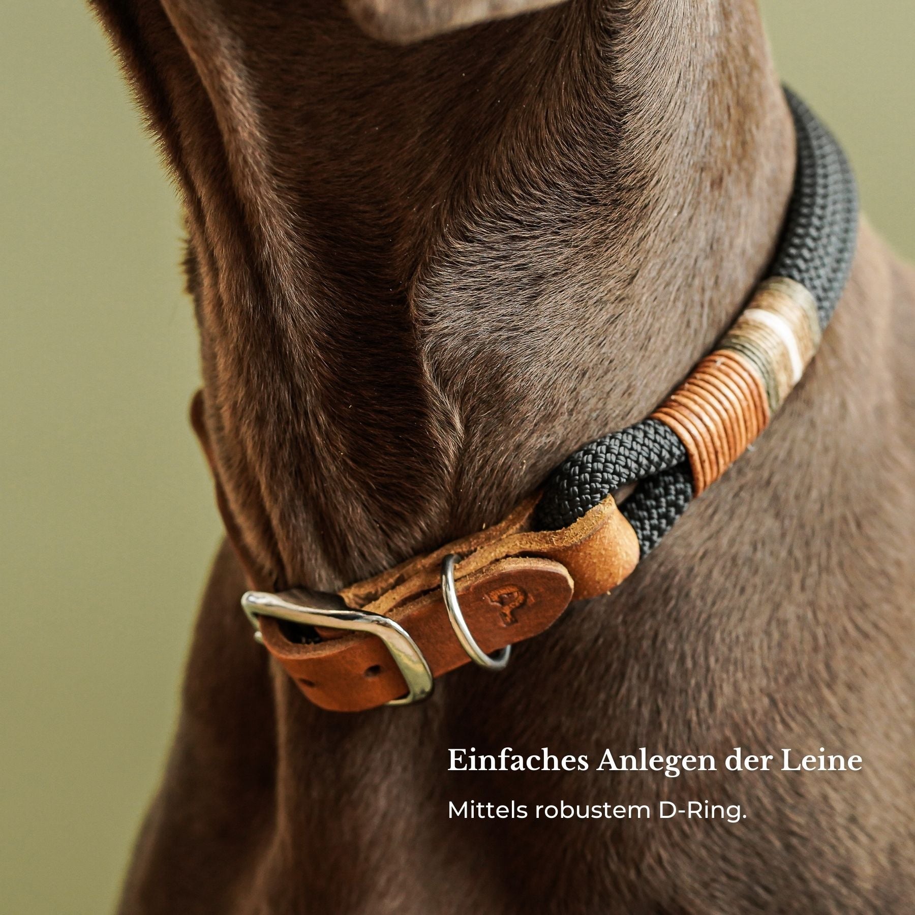 Set | Collar & leash 'Berlin'