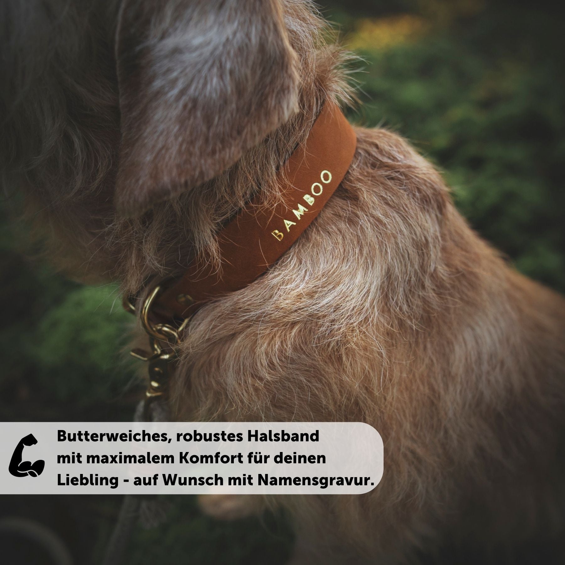 Personalizable collar with name | cognac