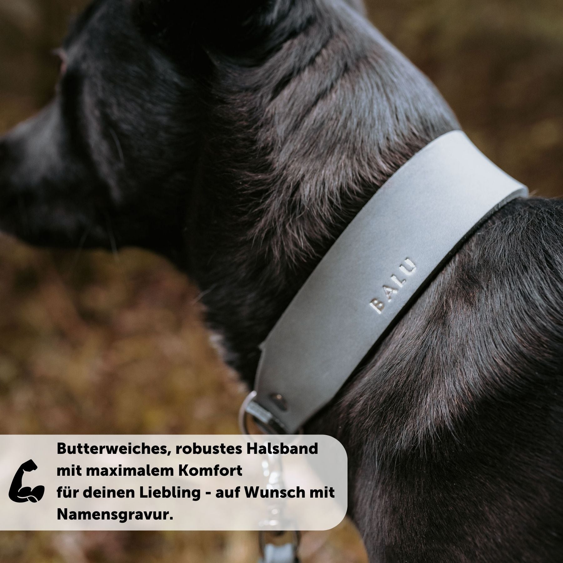 Set | Leather collar & leash in stone gray