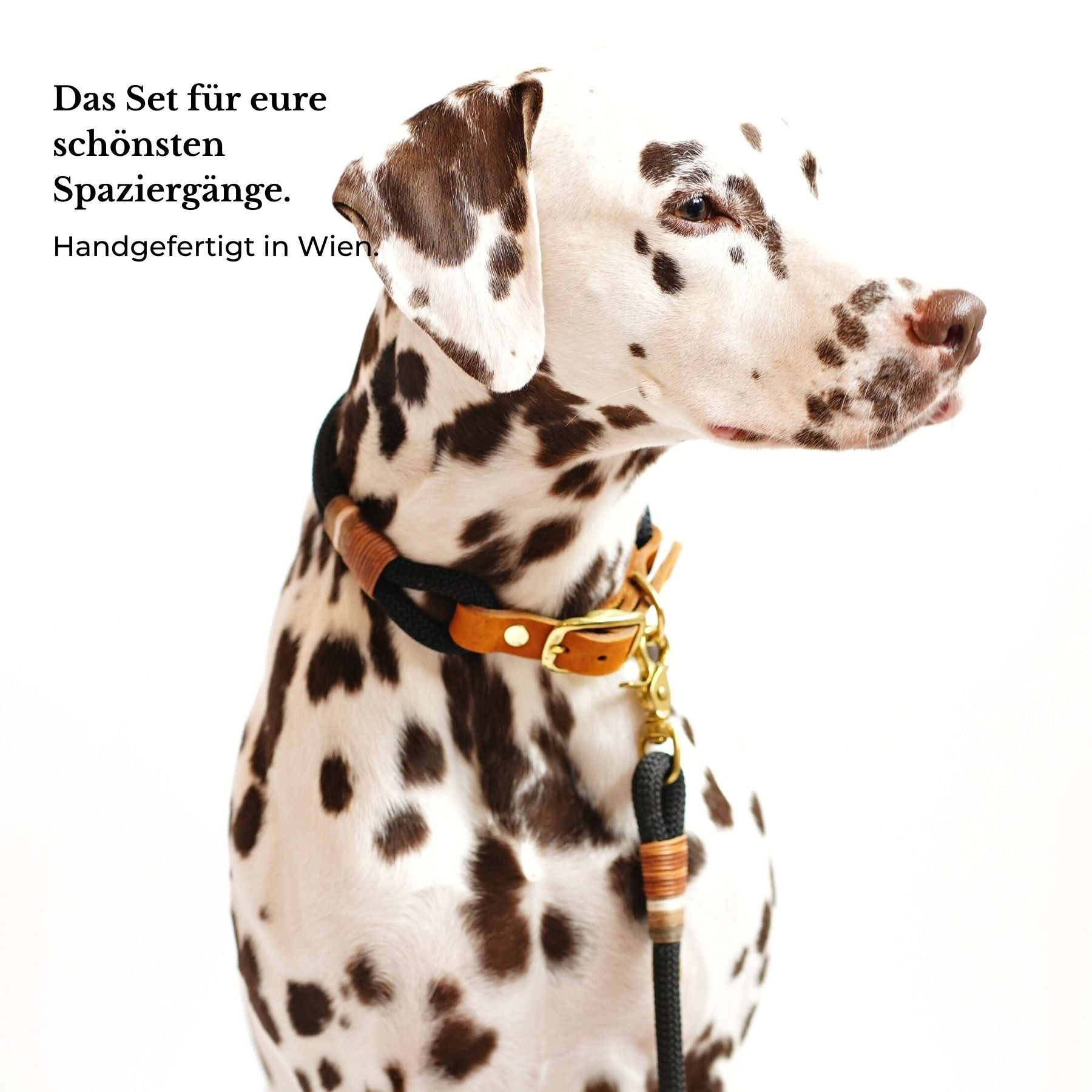 Set | Collar & leash 'Berlin'