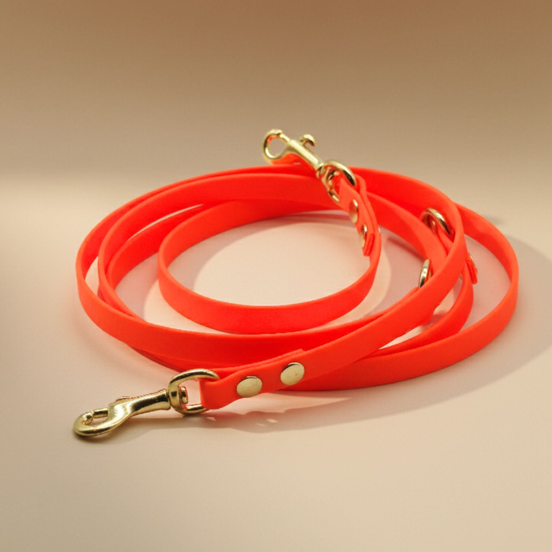 B:Ware | Hundeleine aus Biothane® 'Neon Orange'