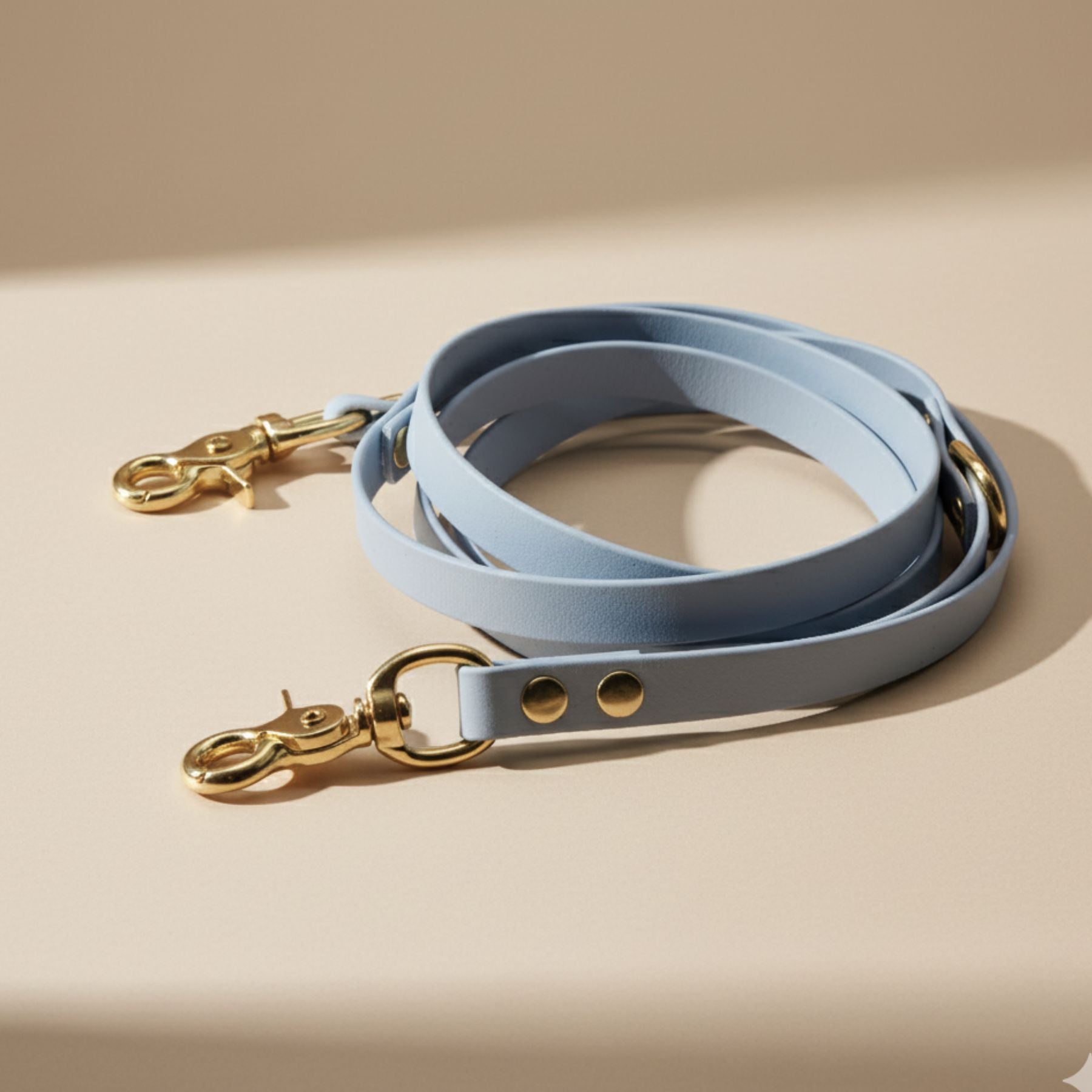 B:Ware | Hundeleine aus Biothane® 'Hellblau'