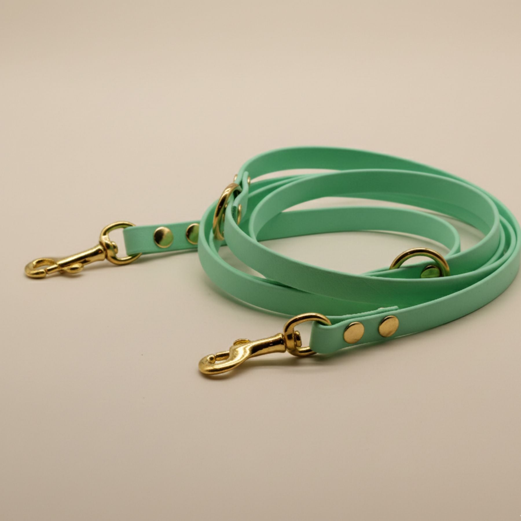 B:Ware | Hundeleine aus Biothane® 'Karibik'