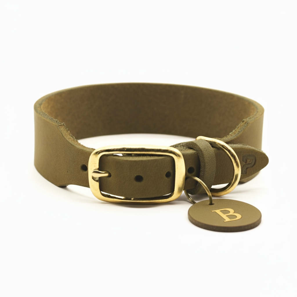 Personalizable collar with name | olive